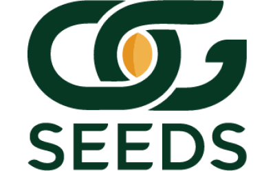 OG Seeds